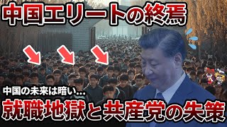 【悲報】中国エリートが清掃員に… 深刻化する若者の就職問題【ゆっくり解説】