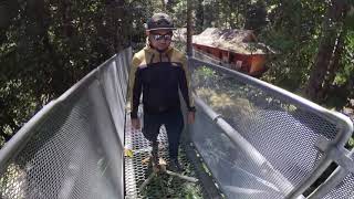 the longest in the world canopy walk, tree top walk Sedim, Kulim Kedah