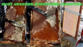 MOST AWESOME HONEYCOMB UNCAPPING - Oddly Satisfying Khmer beekeeping