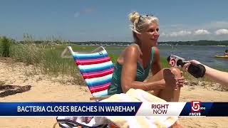 Bacteria Closes Mass Beaches As Temps Spike