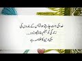 Aqwal e zareen☺️| Best Urdu quotes| Aqwal e zareen in Urdu|Urdu Islamic quotes|Best Urdu Quotes Mix