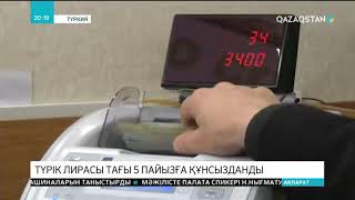 Түрік лирасы тағы 5 пайызға құнсызданды