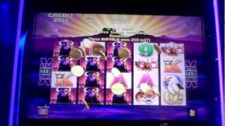 Buffalo slot bonus win at Hollywood Casino at Penn National