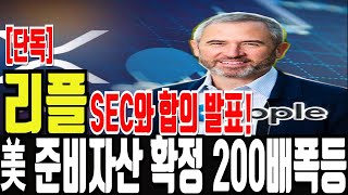 [리플XRP] 29일 美현지 새벽소식! 리플 SEC와 합의 발표시작! 여기에 美 준비자산확정으로 200배폭등한다! feat.차트선생