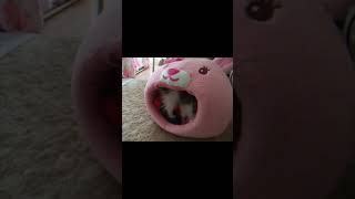 #shorts #子犬 ドーム型ベッドにおもちゃを詰め込む子犬。