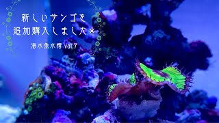 サンゴ追加購入編✳︎海水魚水槽✳︎ぴっぴネイチャンネル✳︎2023年3月