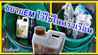 วิธีขยายน้ำ EM สำหรับไว้ใช้ในครัวเรือน