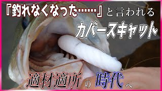 【カバスキャ】これからがカバースキャットの時代である【Deps】