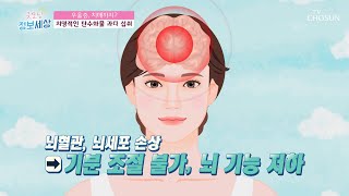 ‘탄수화물 과다 섭취’가 부르는 내 몸 속 질병 ✓ TV CHOSUN 211020 방송  | [굿모닝 정보세상] 504회 | TV조선