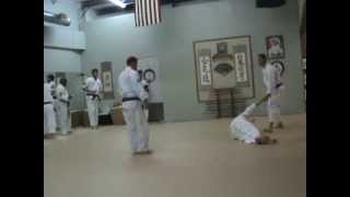Nihon Goshin Aikido ~ My Entire Self Defense Test for Sho-Dan
