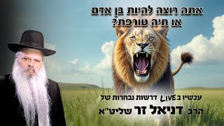 אתה רוצה להיות בן אדם או חיה טורפת | הרב דניאל זר