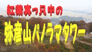 弥彦山パノラマタワーからの見た紅葉真っ只中の風景！