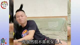 一坨全网最会看眼色狗，把狗仗人势演绎到极致，真是表演天才！【网红故事分享】