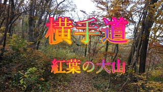 横手道紅葉の大山