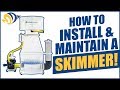 How to Install and Maintain an In-Sump Protein Skimmer