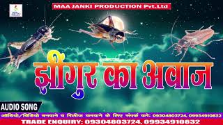 Jhingur Ki Awaz - झींगुर का आवाज - Beetle Background Music - Maa Janki Production