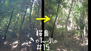 【桜島きゃんぷ】山林開拓15日目ジャングルを刈ってくだけ(鹿児島)