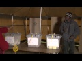 Zimbabweans vote in presidential elections