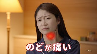 のどぬ〜るナイテクト「大事なプレゼン」篇D（NNN-0003）