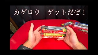 カゲロウを購入しました！シーバス釣りの王道ルアー！