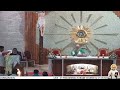 19 jan 2025 ii 6 00am ii sunday live holy mass ii st. philominas church koonammavu