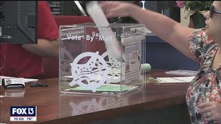 Expert explains Florida's new election laws, restrictions on vote-by-mail
