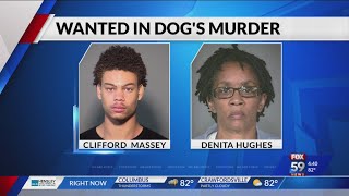 2 more charged in hanging, stabbing death of dog adopted from Indy shelter