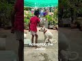 small girl training a male rajapalayam maran to sit