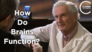 Arnold Scheibel - How Do Brains Function?