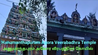 கண்திருஷ்டி  பில்லி சூன்யம் ஏவல் மனகவலை நீக்கும் அனுமந்தபுரம் ஸ்ரீ அகோர வீரபத்திரர் கோயில்|S.P Kovil