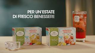 Spot Tisane a Freddo L'Angelica - 15''