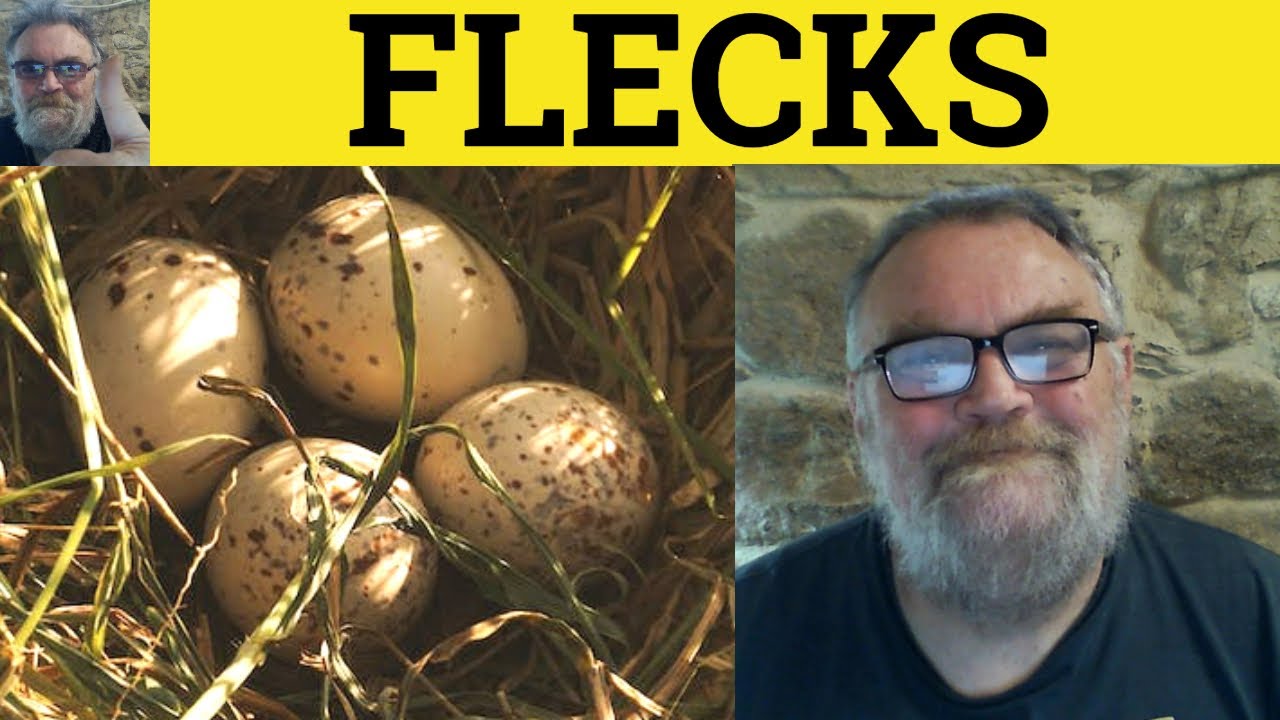 🔵 Fleck Meaning - Flecks Defined - Flecked Examples - CAE Nouns - Fleck ...