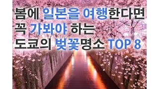 봄에 일본을 여행한다면 꼭 가봐야 하는 도쿄의 벚꽃명소 TOP 8