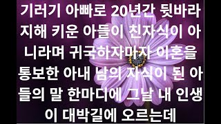 실화사연- 기러기 아빠로 20년간 뒷바라지해 키운 아들이 친자식이 아니라며 귀국하자마자 이혼을 통보한 아내 남의 자식이 된 아들의 말 한마디에 그날 내 인생이 대박길에 오르는데