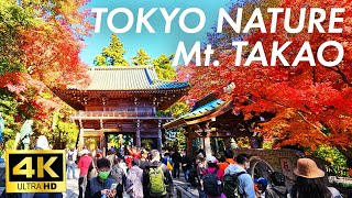 【Japan Walk】Mt. TAKAO Most popular nature spot in Tokyo