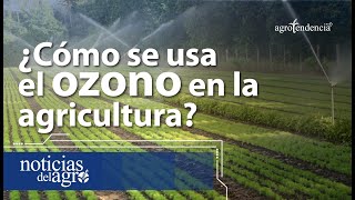 ¿Cómo se usa el ozono en la agricultura? 🍃