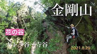 金剛山　花の谷　カトラ谷〜寺谷