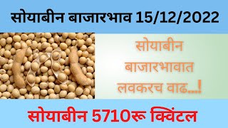 15 डिसेंबर सोयाबीन भाव आजचा | सोयाबीन बाजारभाव | Latur Soyabean Bhav Today