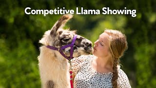 Llama Nation: A Documentary Film