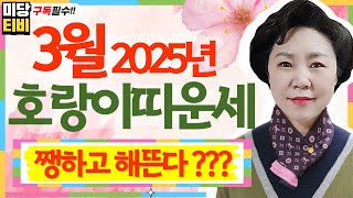 2025년 호랑이띠 3월운세, (28세, 40세, 52세, 64세, 76세), 용한점집, 보리암, 유명한점집, 금전운, 문서운, 직업운, 애정운, 가정운, 사업운