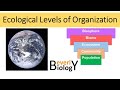 Ecology: Levels of Organization