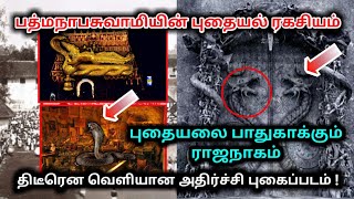 பத்மநாபசுவாமி  கோவில் பாதாள அறையில் மறைந்திருக்கும் புதையல் ! அதனை பாதுகாக்கும் ராஜநாகம் !