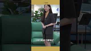 쫙쫙 감기는 느낌을 원하는 분들에게 추천하는 소파 | 아르테 II | 자코모 일산점