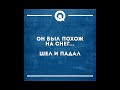 Пушистые проделки и радости самые весёлые моменты смотри смешные картинки мемы котики приколы 🤣