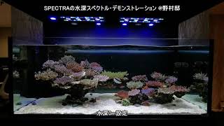 【愛知県の野村さんスイハイ】其の一 SPECTRA水深デモと水景動画