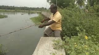 fishing in village🐟 #fisherSANTHOSH perur coimbatore