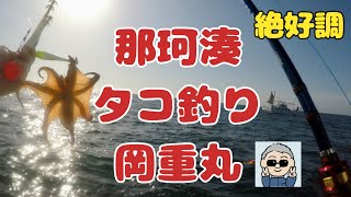 【那珂湊　岡重丸　エギタコ釣り】　那珂湊岡重丸が絶好調！