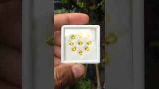 3.51 กะรัต/9เม็ด พลอยบุษราคัมซองเจีย 9 เม็ด (Natural Heated(BE) Yellow Sapphire Songea Tanznia)