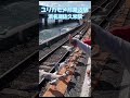 【浜名湖佐久米駅】ユリカモメが飛来する駅🚉カモメかわいいよ〜