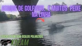 MAIS UMA BOA PESCARIA ! GOLFINHO PESCANDO E CARONA NA HORA DA CAMINHADA ...!!